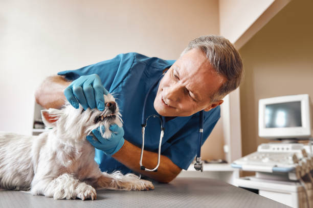 Best Weekend Emergency Dentist in La Puente, CA